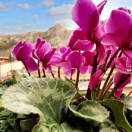 Spacious House In With Mountain View 130 M² Frascineto