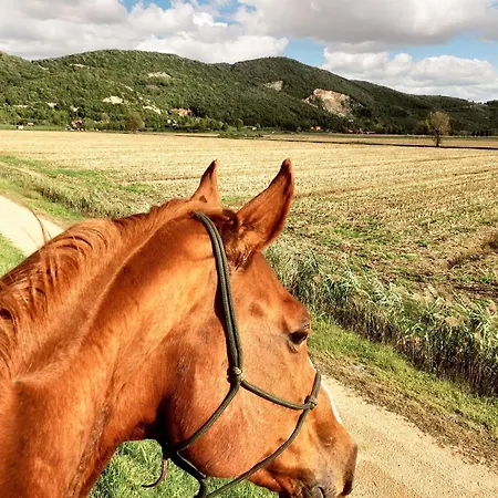 Spacious House In Frascineto With Mountain View 130 M² * Frascineto