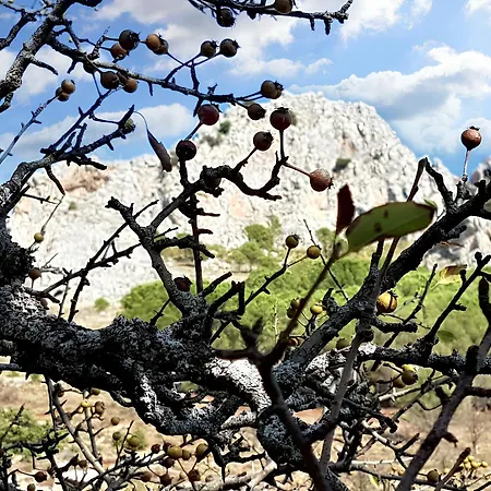 Spacious House In Frascineto With Mountain View 130 M²