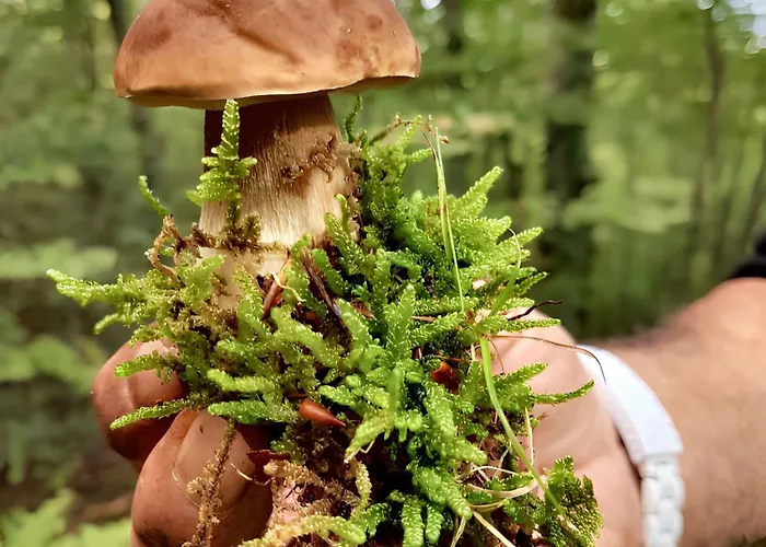 Spacious House In Frascineto With Mountain View 130 M² * Frascineto