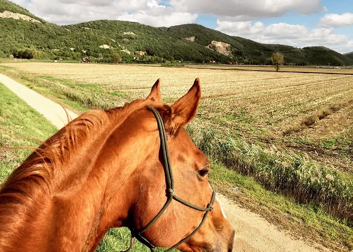 Spacious House In With Mountain View 130 M² * Frascineto