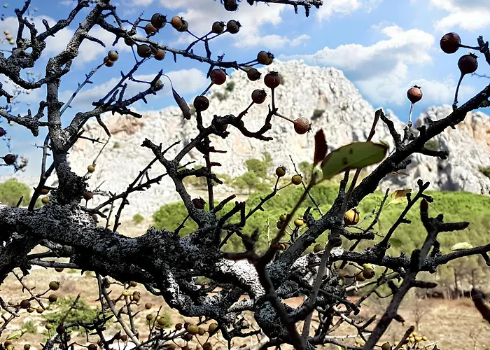 Spacious House In With Mountain View 130 M²